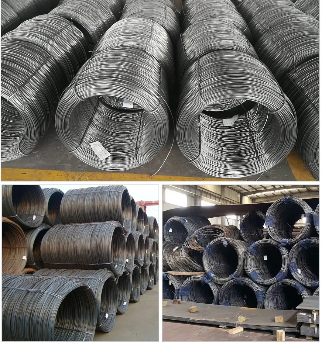 Construction Material High Carbon Alloy Steel Wire Rod/Steel Wire with High Quality