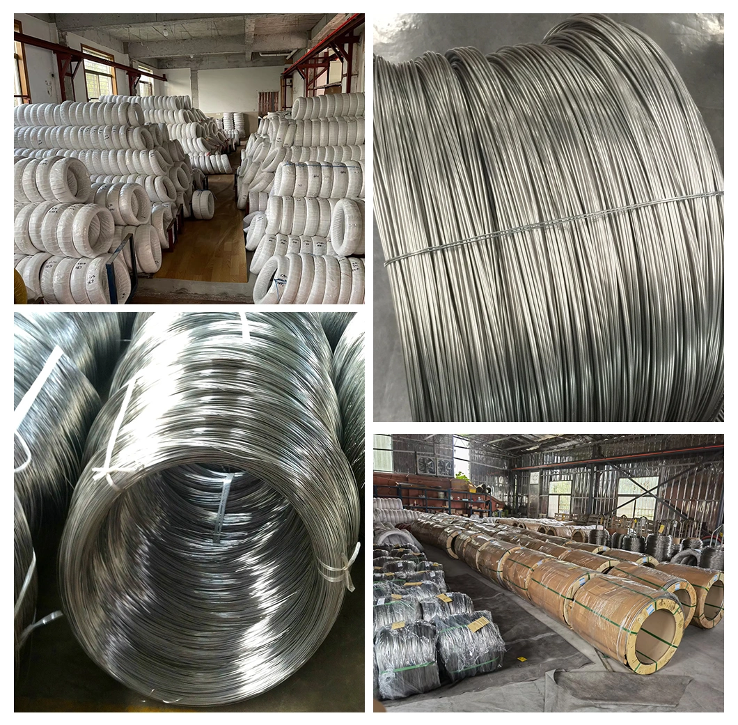 ASTM AISI 630 201 321 310S 302 308 309 316 317 347 329 303 304 410 416 409 Welded Annealing Spoke Spring Carbon Steel/Galvanized Steel/Stainless Steel Rod Wire